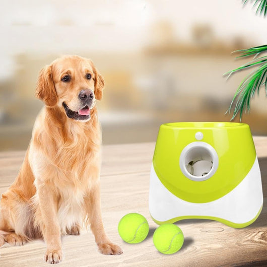 Pet Perfect Bollkastare för Hund