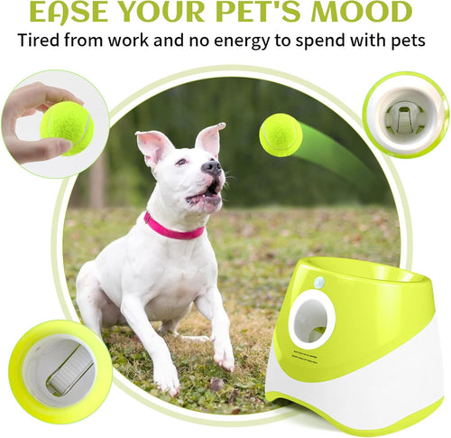 Pet Perfect Bollkastare för Hund