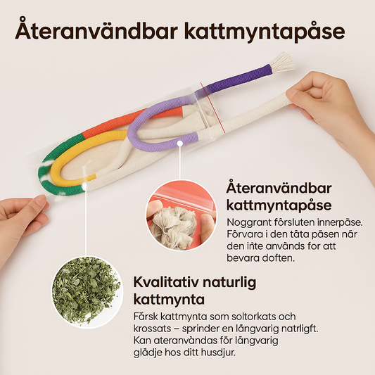 Potaroma™ Tuggrep med Kattmynta – 3-pack för Aktiv Lek & Tandhälsa