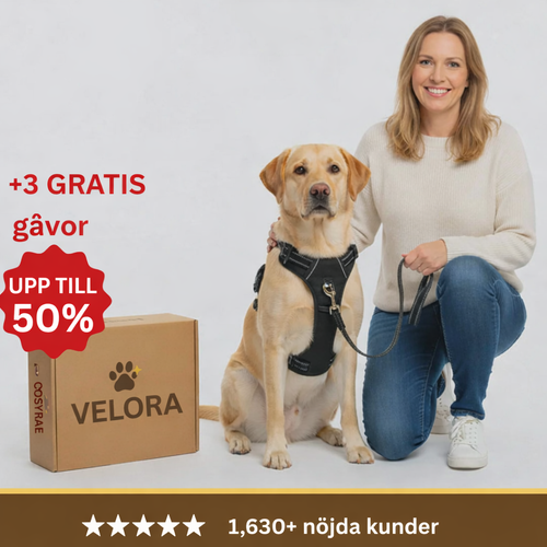 Velora™ Anti-drag sele