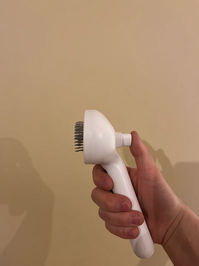 La Brosse Spray – Combattez la mue de printemps en toute simplicité