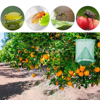 Insektfälla-  Den Ultimata Lösningen för ett Insektsfritt Hem och Trädgård!